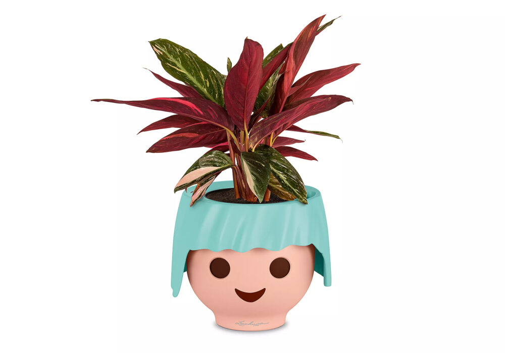 Alternative view of Playmobil 19043 OJO - All-in-One Set aquamarine OJO กระถางต้นไม้สีฟ้าอ่อน บอกระดับน้ำได้